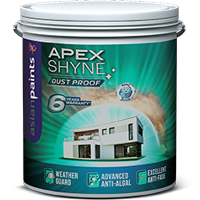 Apex Shyne Paint