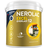 Excel Everlast 12